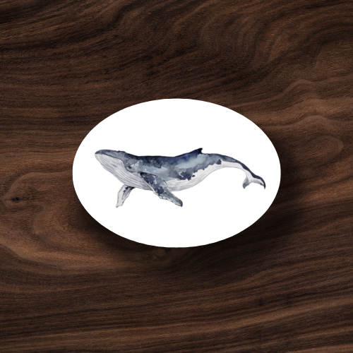 Sticker C-23