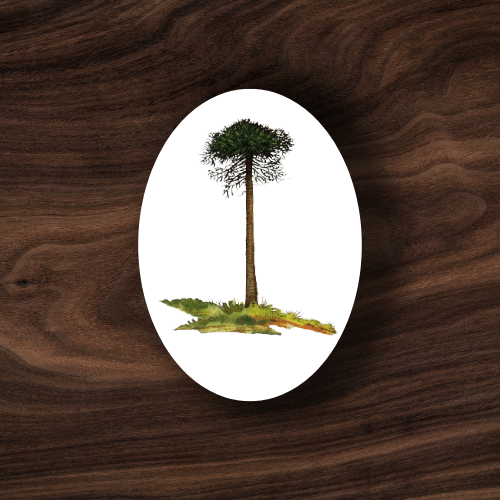 Sticker C-06