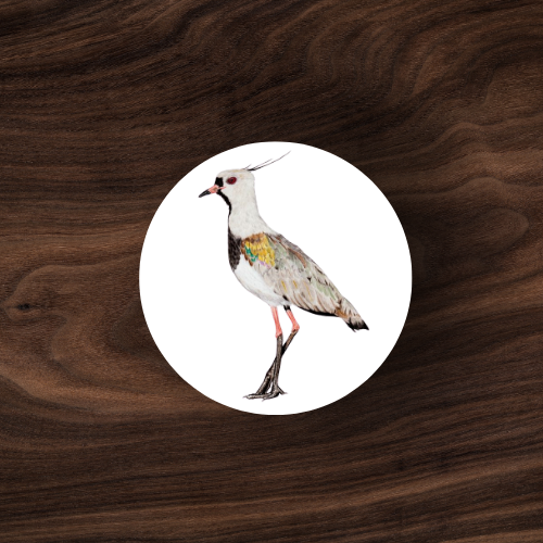 Sticker C-07