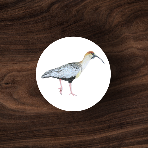 Sticker C-08